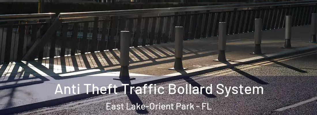 Anti Theft Traffic Bollard System East Lake-Orient Park - FL