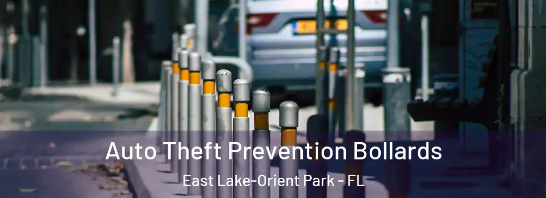 Auto Theft Prevention Bollards East Lake-Orient Park - FL