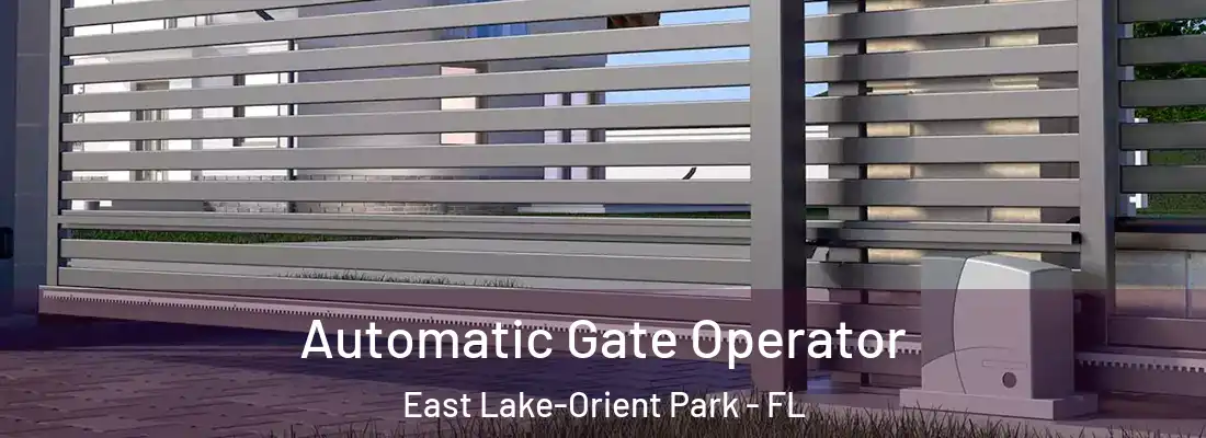 Automatic Gate Operator East Lake-Orient Park - FL