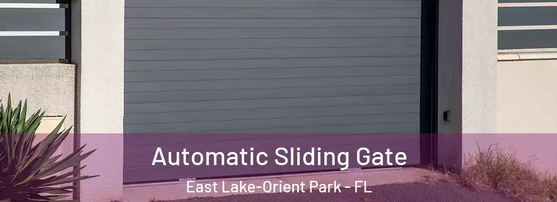 Automatic Sliding Gate East Lake-Orient Park - FL