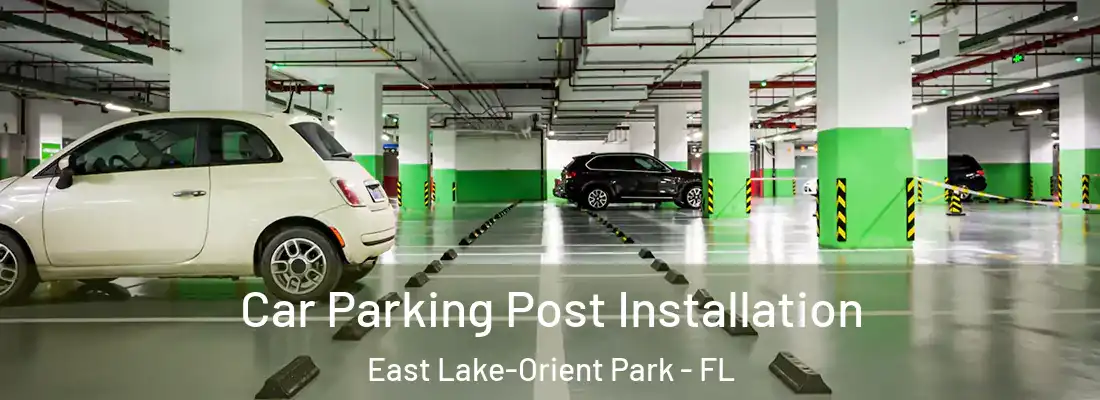 Car Parking Post Installation East Lake-Orient Park - FL
