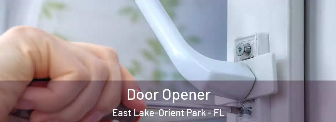 Door Opener East Lake-Orient Park - FL