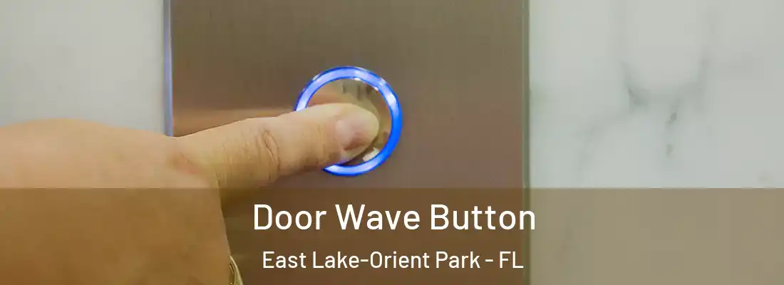 Door Wave Button East Lake-Orient Park - FL