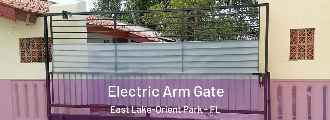 Electric Arm Gate East Lake-Orient Park - FL