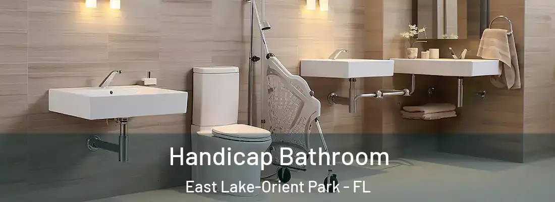 Handicap Bathroom East Lake-Orient Park - FL