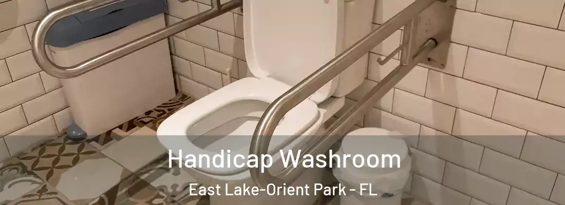 Handicap Washroom East Lake-Orient Park - FL