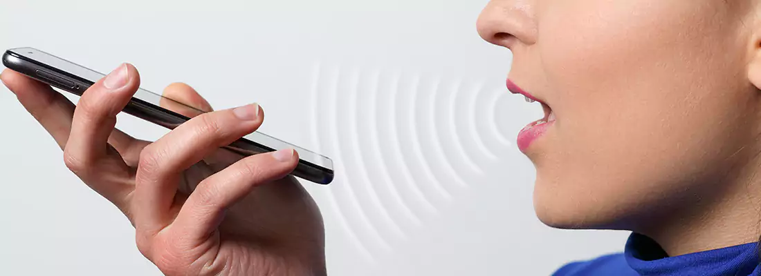 Residential and Commercial Voice Recognition Access Solutions in East Lake-Orient Park, FL