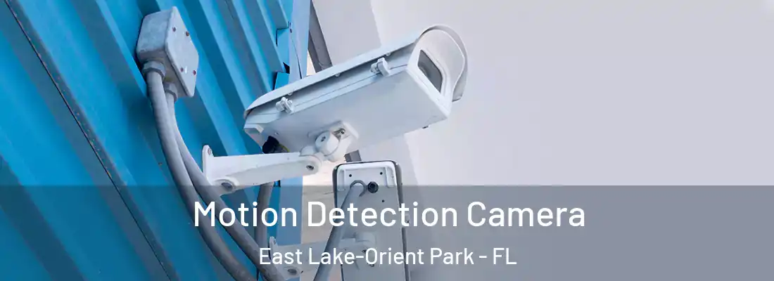 Motion Detection Camera East Lake-Orient Park - FL