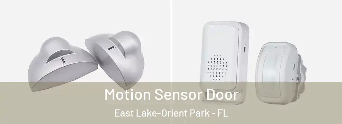 Motion Sensor Door East Lake-Orient Park - FL