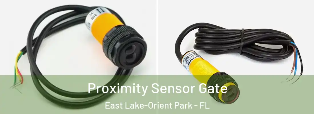 Proximity Sensor Gate East Lake-Orient Park - FL