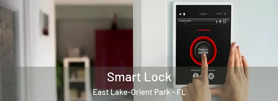 Smart Lock East Lake-Orient Park - FL