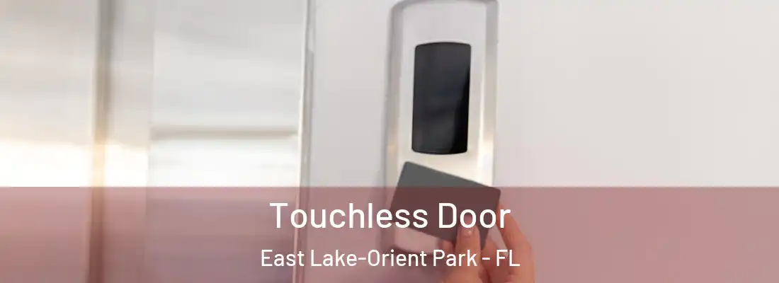 Touchless Door East Lake-Orient Park - FL