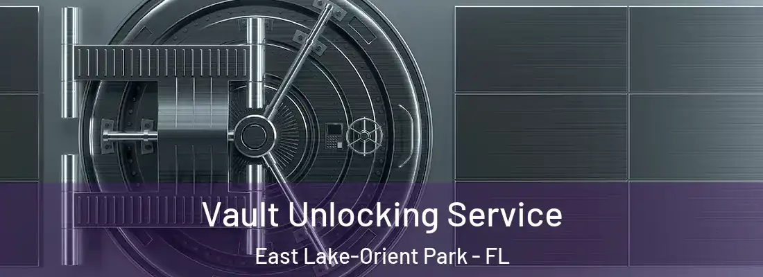 Vault Unlocking Service East Lake-Orient Park - FL