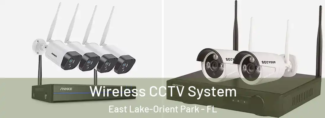 Wireless CCTV System East Lake-Orient Park - FL